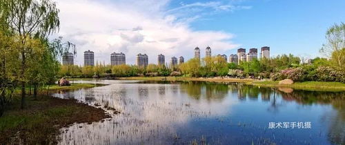 丁香園里的多彩風光——康術(shù)軍手機隨拍作品選