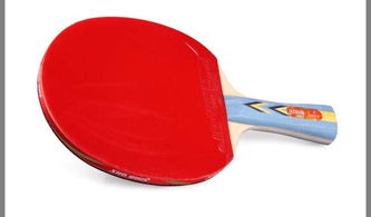 紅雙喜DHS A3002 一款均衡實用的入門級橫拍雙反膠乒乓球拍
